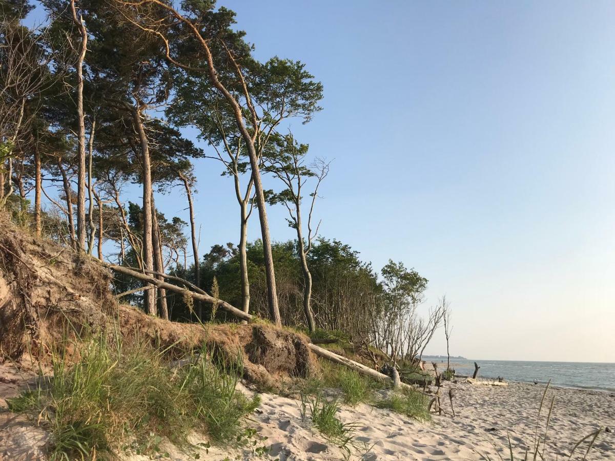 "Leuchtturmhaus" By Ferienhaus Strandgut Born Zewnętrze zdjęcie
